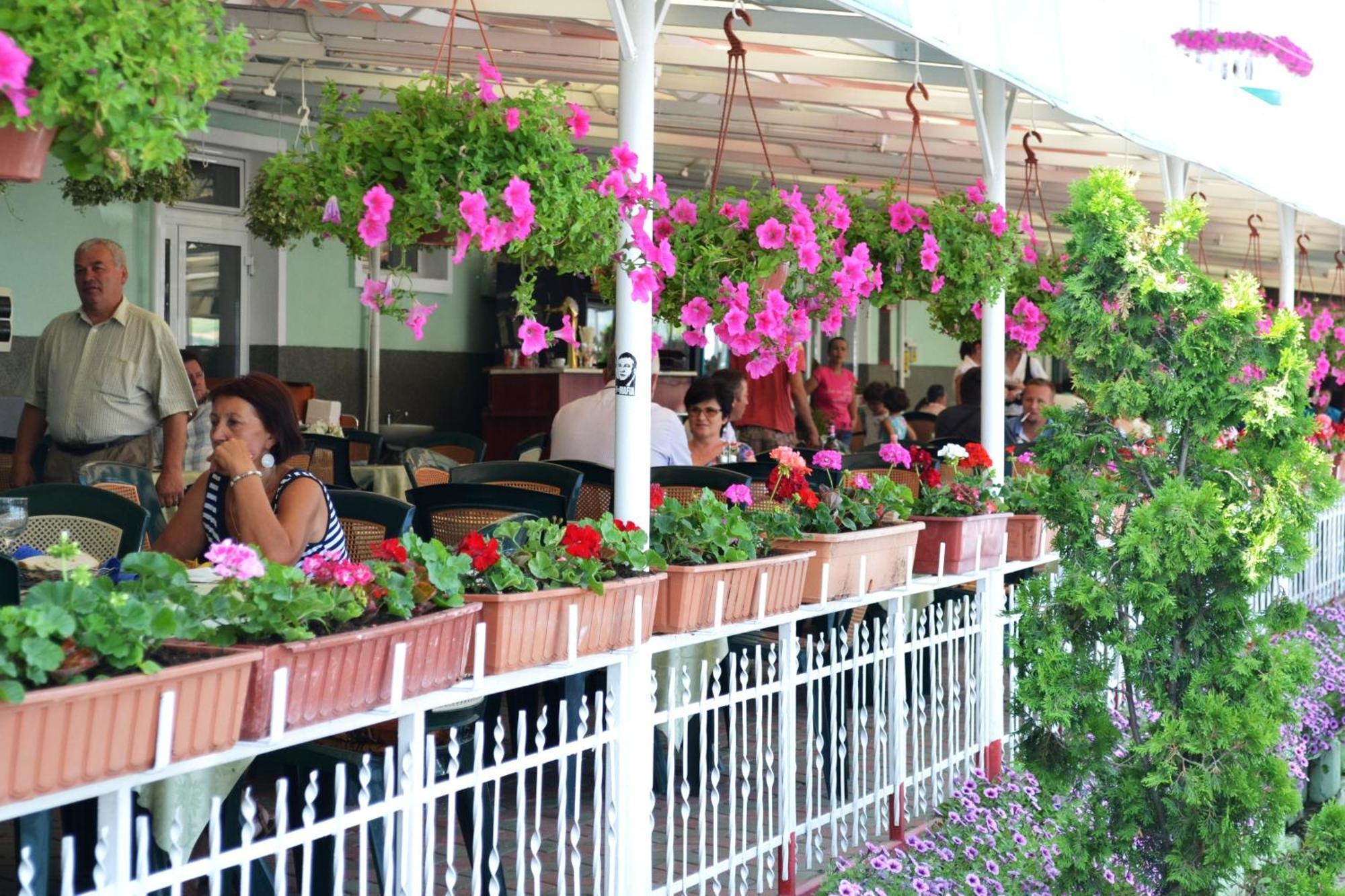 Motel Darina Ungheni  Bagian luar foto