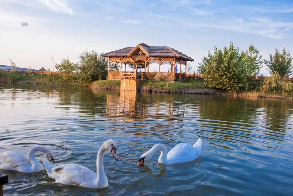 Motel Darina Ungheni  Bagian luar foto